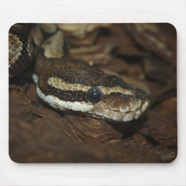 Tapis De Souris Python Brown (Devant)