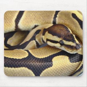 Tapis De Souris Python jaune et noir 3 de boule