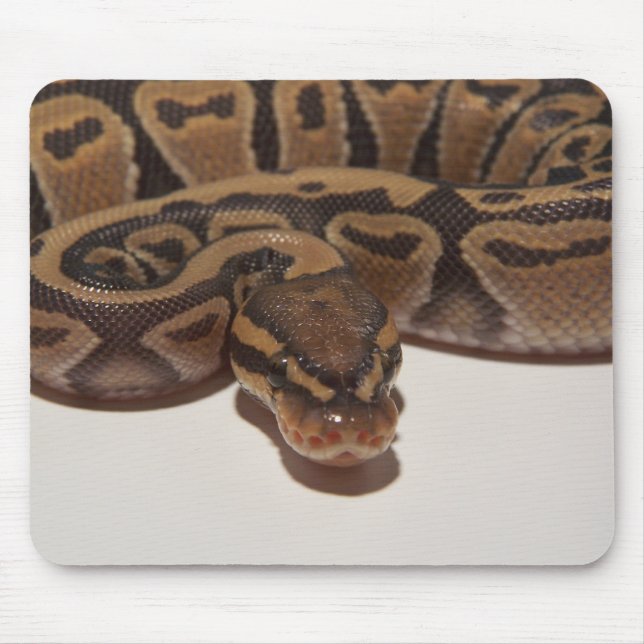 Tapis De Souris Python Mousepad de boule de fantôme (Devant)