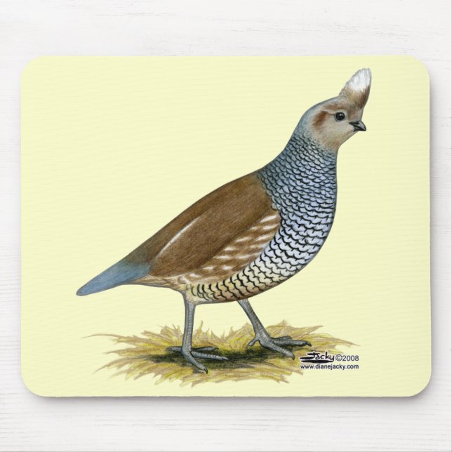 Tapis De Souris Quail à échelle (Devant)