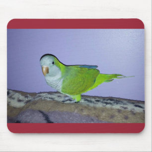 Tapis De Souris Quaker Parrot Mousepad