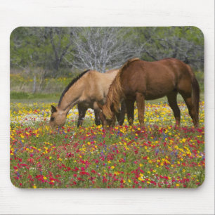 Tapis De Souris Quarter Horse dans un champ de fleurs sauvages prè
