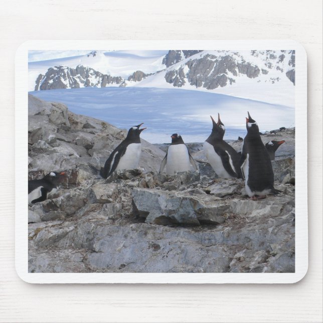 Tapis De Souris Quartet de raseur-coiffeur (Devant)