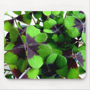 Tapis De Souris Quatre feuilles Shamrock de trèfle St. Patrick’s L