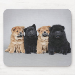 Tapis De Souris Quatre petits chiots de Chow