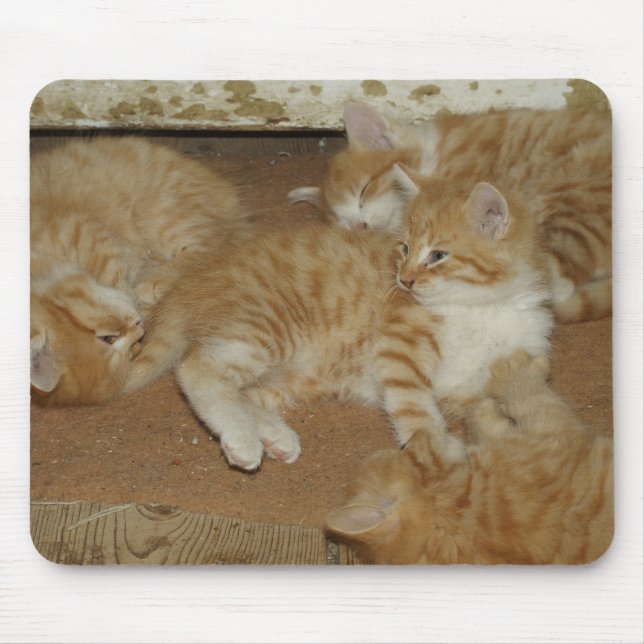 Tapis De Souris Quatre tabbis rouges (Devant)