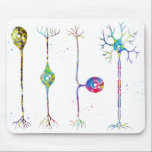 Tapis De Souris Quatre types de neurones<br><div class="desc">Quatre types de neurones,  Aquarelle,  Connexions cérébrales,  Science des réseaux neuronaux,  Cellules nerveuses et Neurotransmetteur,  Neuroscience Art</div>