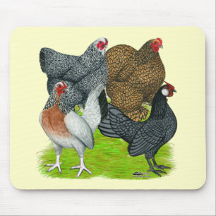 Tapis De Souris Quatuor Bantam Hen
