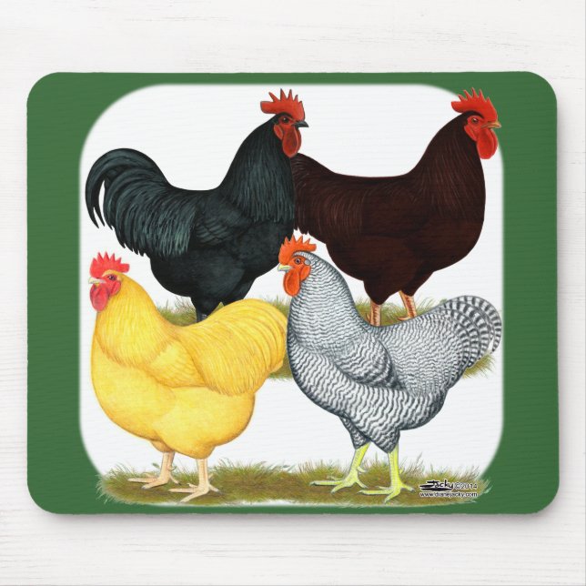 Tapis De Souris Quatuor de poulet à coq lourd (Devant)