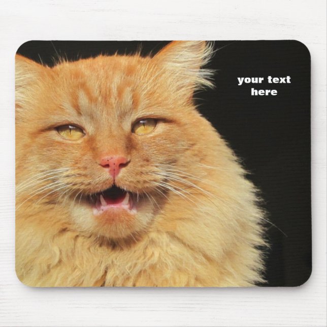Tapis De Souris Que dit le chat ? Vous décidez (Devant)