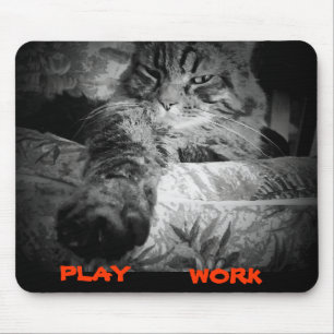Tapis De Souris Que faire en ligne aujourd'hui. Cat Dit Play