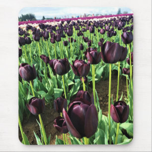 Tapis De Souris Queen of the Night Tulips, Oregon