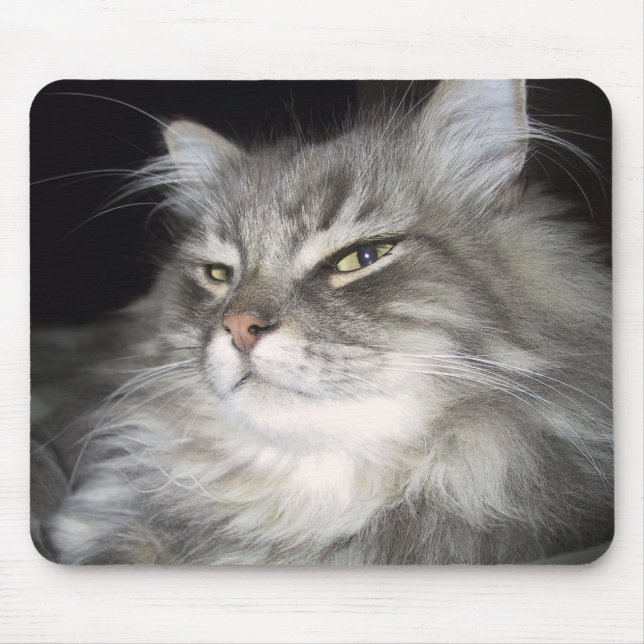 Tapis De Souris Quelle attitude ? (Devant)