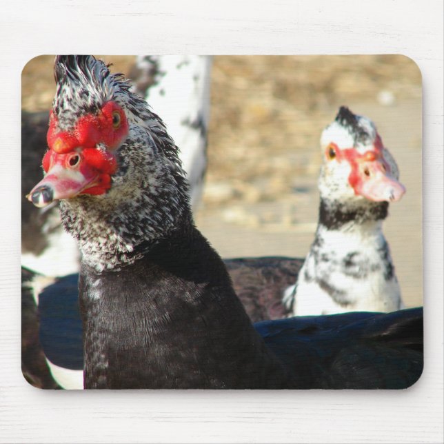 Tapis De Souris "Qu'est-ce que ça fait ?" (Devant)