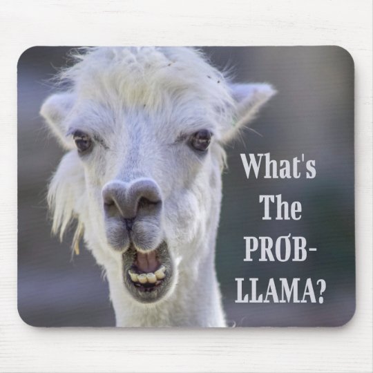 Tapis De Souris Qu Est Ce Que Le Prob Llama Lama Drole Zazzle Fr