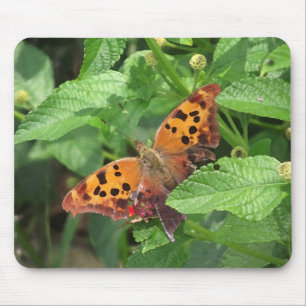 Tapis De Souris Question Mark Butterfly on Lantana