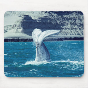 Tapis De Souris Queue de veau de baleine - Argentine