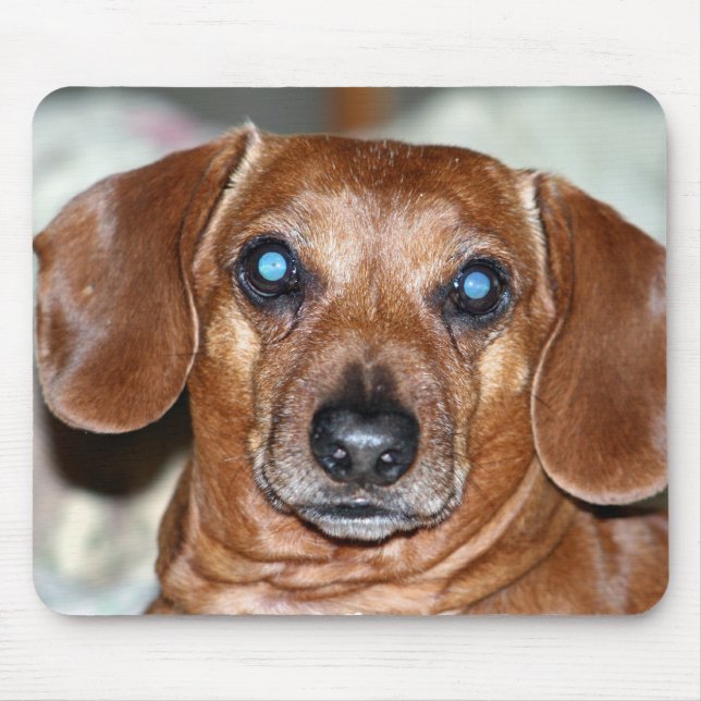 Tapis De Souris Qui je (Devant)