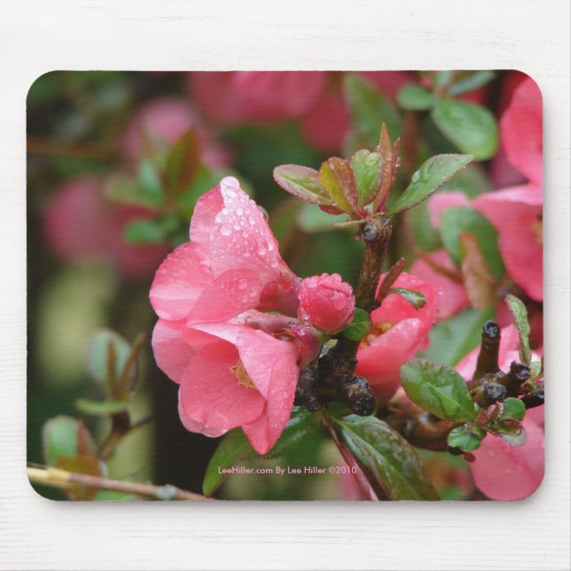 Tapis De Souris Quince rose printanier (Devant)