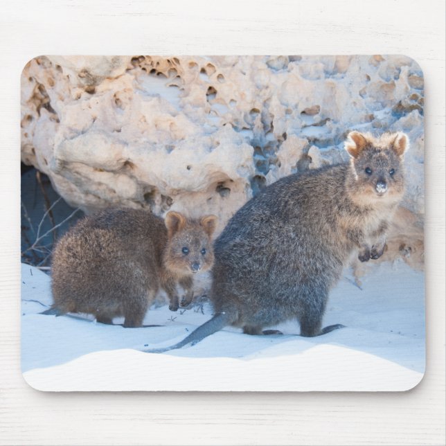 Tapis De Souris Quokka (Devant)