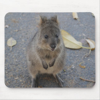 Tapis De Souris Quokka mouse pad