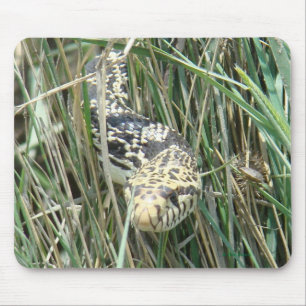 Tapis De Souris R4 Couleuvre Bull dans l'Herbe