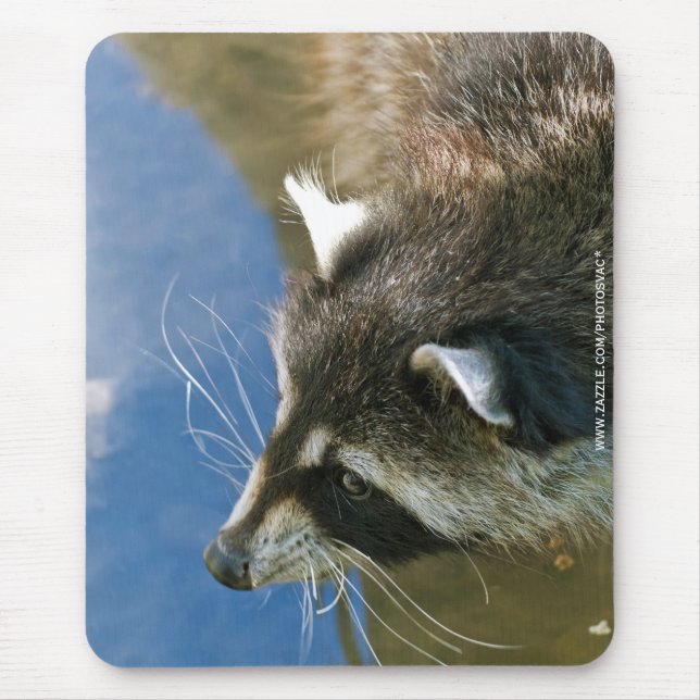 Tapis De Souris Raccoon (Devant)