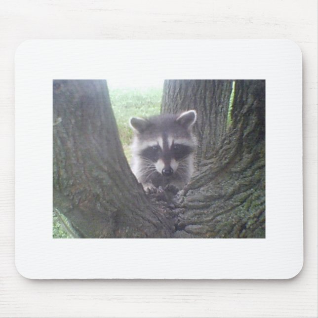 Tapis De Souris Raccoon dans l'arbre (Devant)