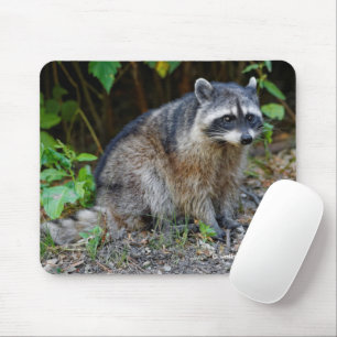 Tapis De Souris Raccoon nord-américain mignon