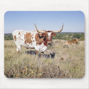 Tapis De Souris Race du Texas Longhorn (photo)