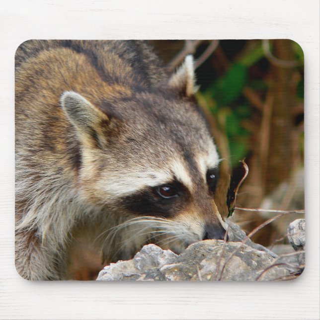 Tapis De Souris Racoon Mousepad (Devant)