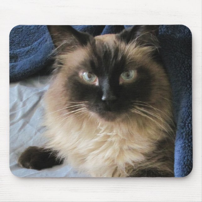 Tapis De Souris Ragdoll Cat  (Devant)