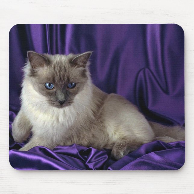 Tapis De Souris Ragdoll, point bleu (Devant)