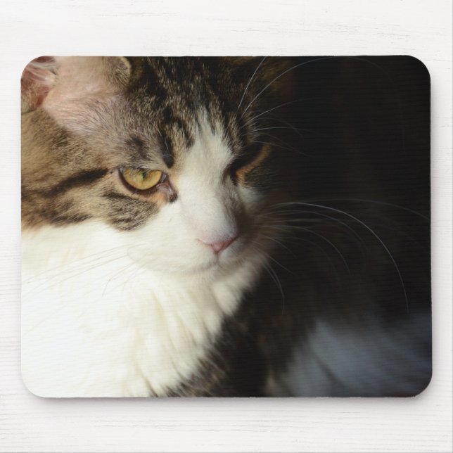 Tapis De Souris Ragondin Kitty Mousepad du Maine (Devant)