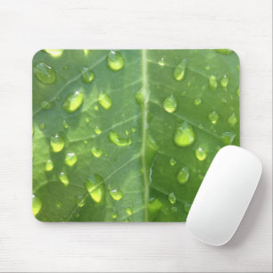 Tapis De Souris Raindrops sur une feuille