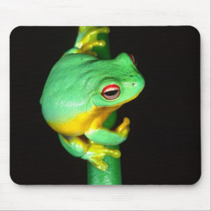 Tapis De Souris Rainette à yeux rouges australienne, Litoria chlor