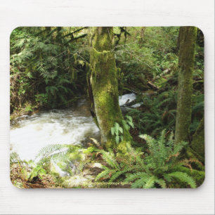 Tapis De Souris Rainforest Stream Wilderness Nature Photo Mousepad