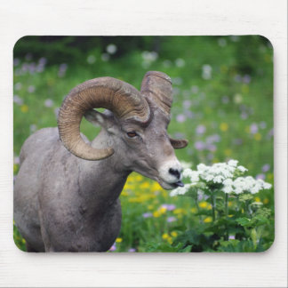 Tapis De Souris RAM - sentir les fleurs