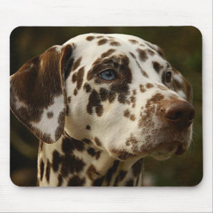 Tapis De Souris Rare Brown Dalmatien   Dalmation du foie