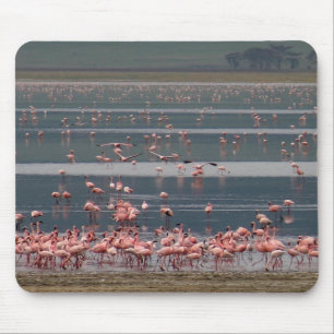 Tapis De Souris Rassemblement des Flamants roses - Mousepad