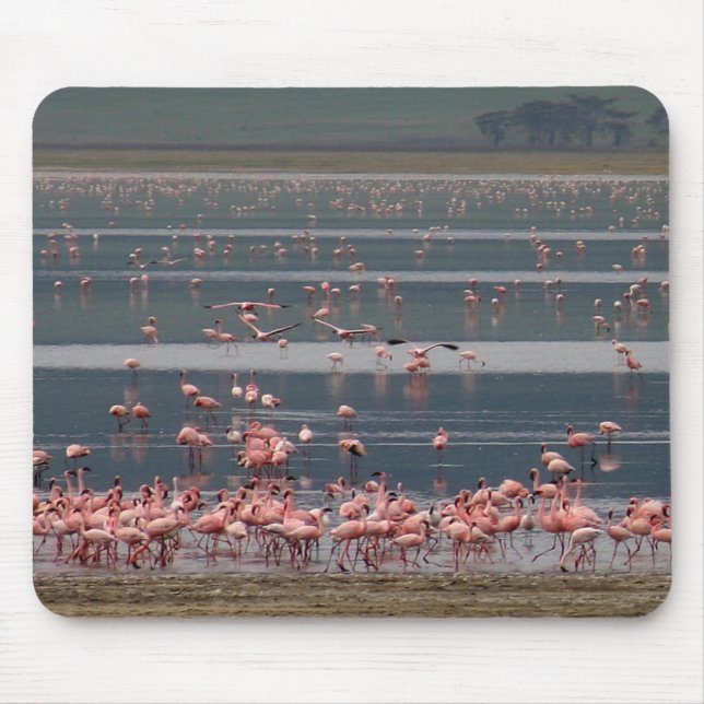 Tapis De Souris Rassemblement des Flamants roses - Mousepad (Devant)