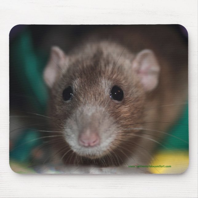 Tapis De Souris Rat de fantaisie Mousepad d'abruti (Devant)