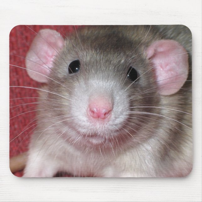 Tapis De Souris Rat mignon d'abruti (Devant)