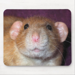 Tapis De Souris Rat Mousepad d'abruti