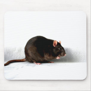 Tapis De Souris Rat mpcna