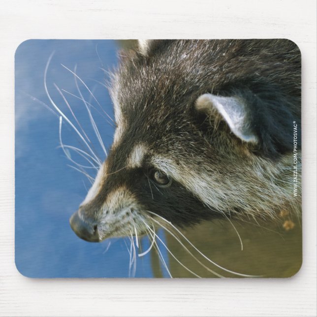 Tapis De Souris Raton laveur (Devant)