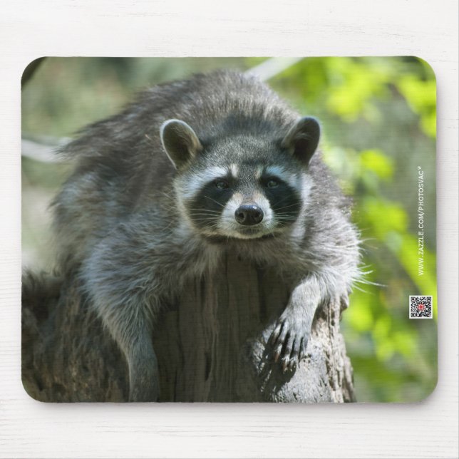 Tapis de souris Raton laveur (Devant)