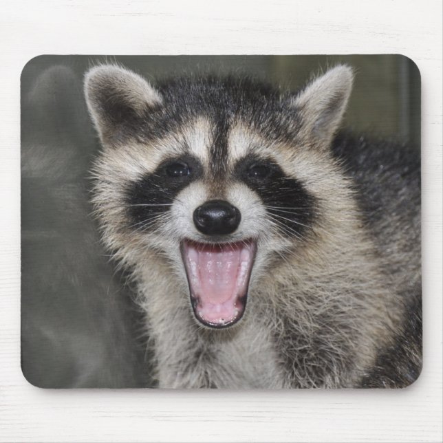 Tapis De Souris Raton laveur Mousepad - #1025 (Devant)