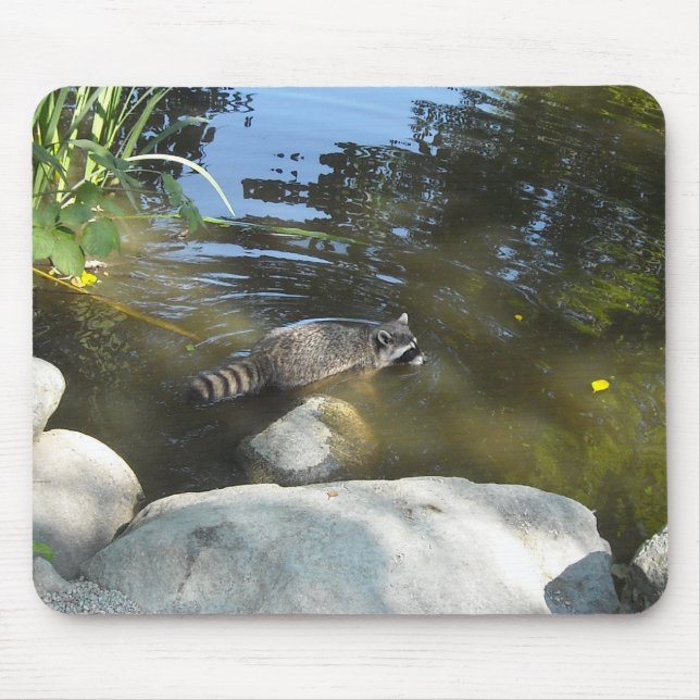 Tapis De Souris Raton laveur prenant un bain (Devant)
