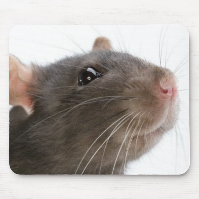 Tapis De Souris Rats ! ! ! (Devant)